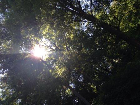 Nena und Celine (10)