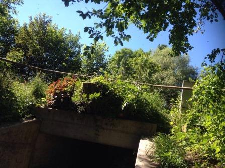 Nena und Celine (14)