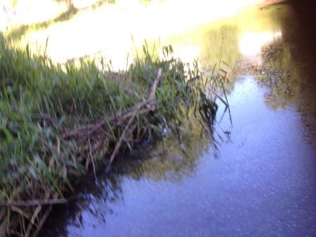 Nena und Celine (19)