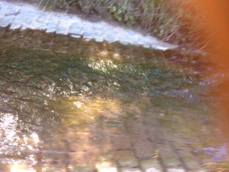 Nena und Celine (20)